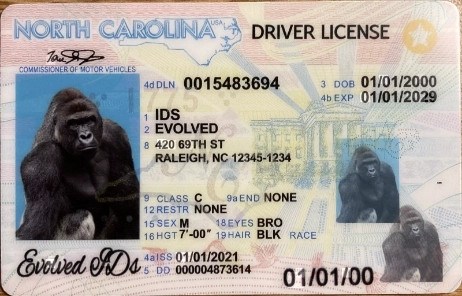 nc1 (1)